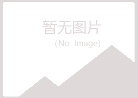 永登县惜雪制造有限公司